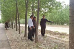 聊城市水利工程總公司 引黃灌區(qū)農(nóng)業(yè)節(jié)水工程（2021年市本級(jí)） 施工二標(biāo)項(xiàng)目彰